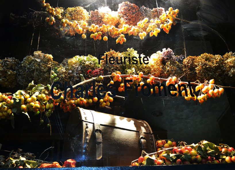 Fleuriste Charles Froment の公式サイトで公開された写真。ガラス越しのショーウィンドーに、ドライのアジサイと小さな実のついた枝が何段にも吊るされ、下段に革張りのトランクが置かれている。ガラスに「Fleuriste Charles Froment」の文字